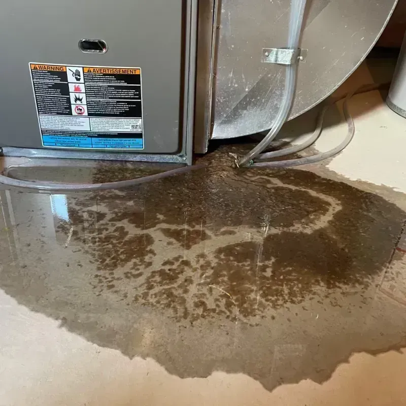 Appliance Leak Cleanup in Beltsville, MD